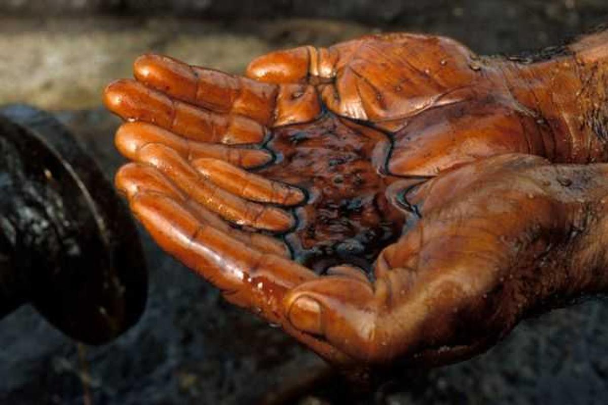 В Беларуси открыли новое месторождение нефти 