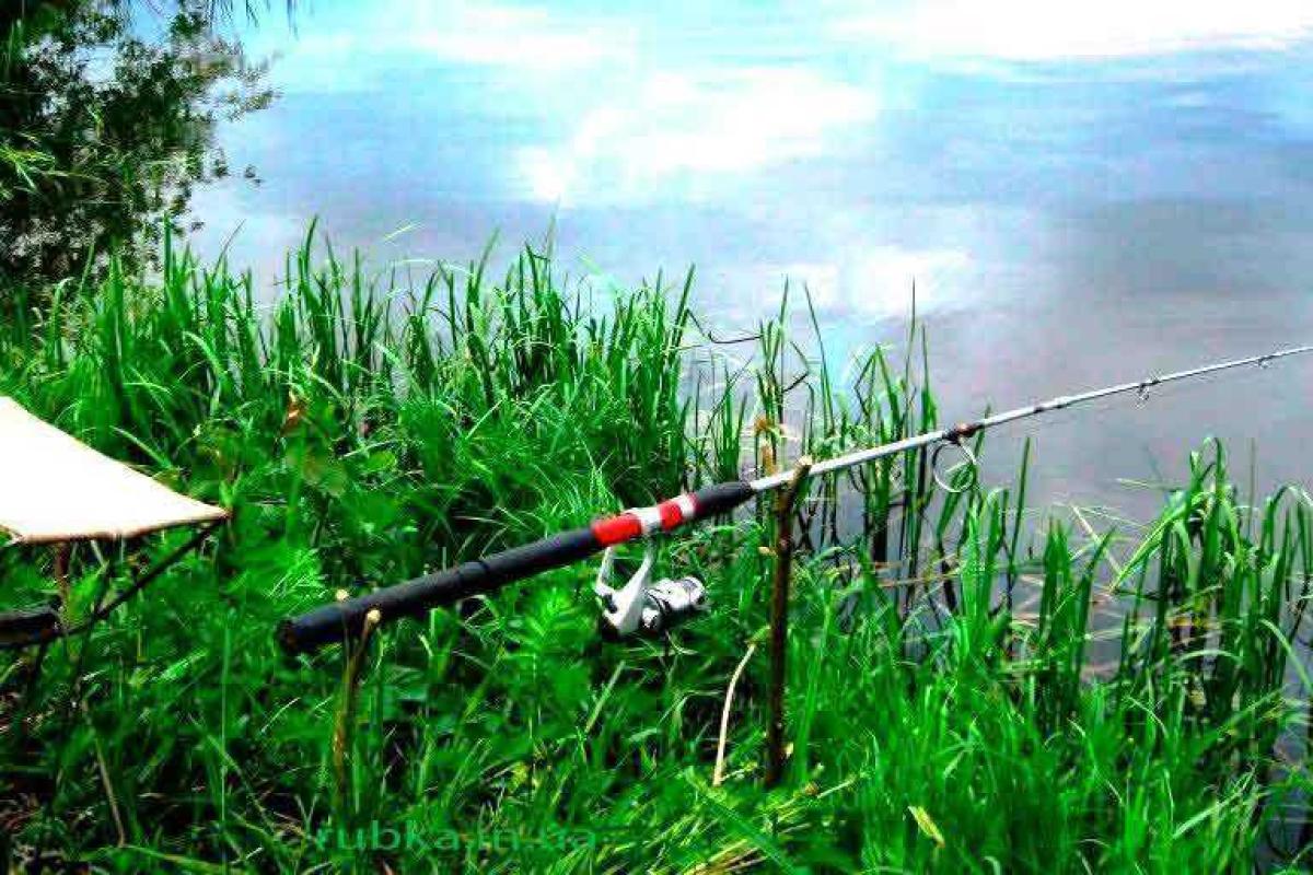 Опасная рыбалка: возле Счастья неизвестные на джипе избили и ограбили обычного рыбака Опасная рыбалка: возле Счастья неизвестные на джипе избили и ограбили обычного рыбака