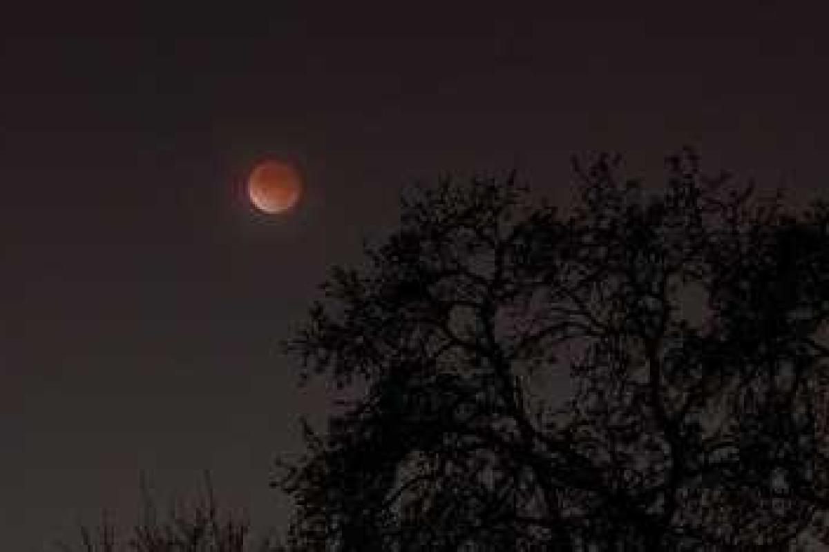 Над Москвой взойдет "кровавая" Луна Над Москвой взойдет "кровавая" Луна