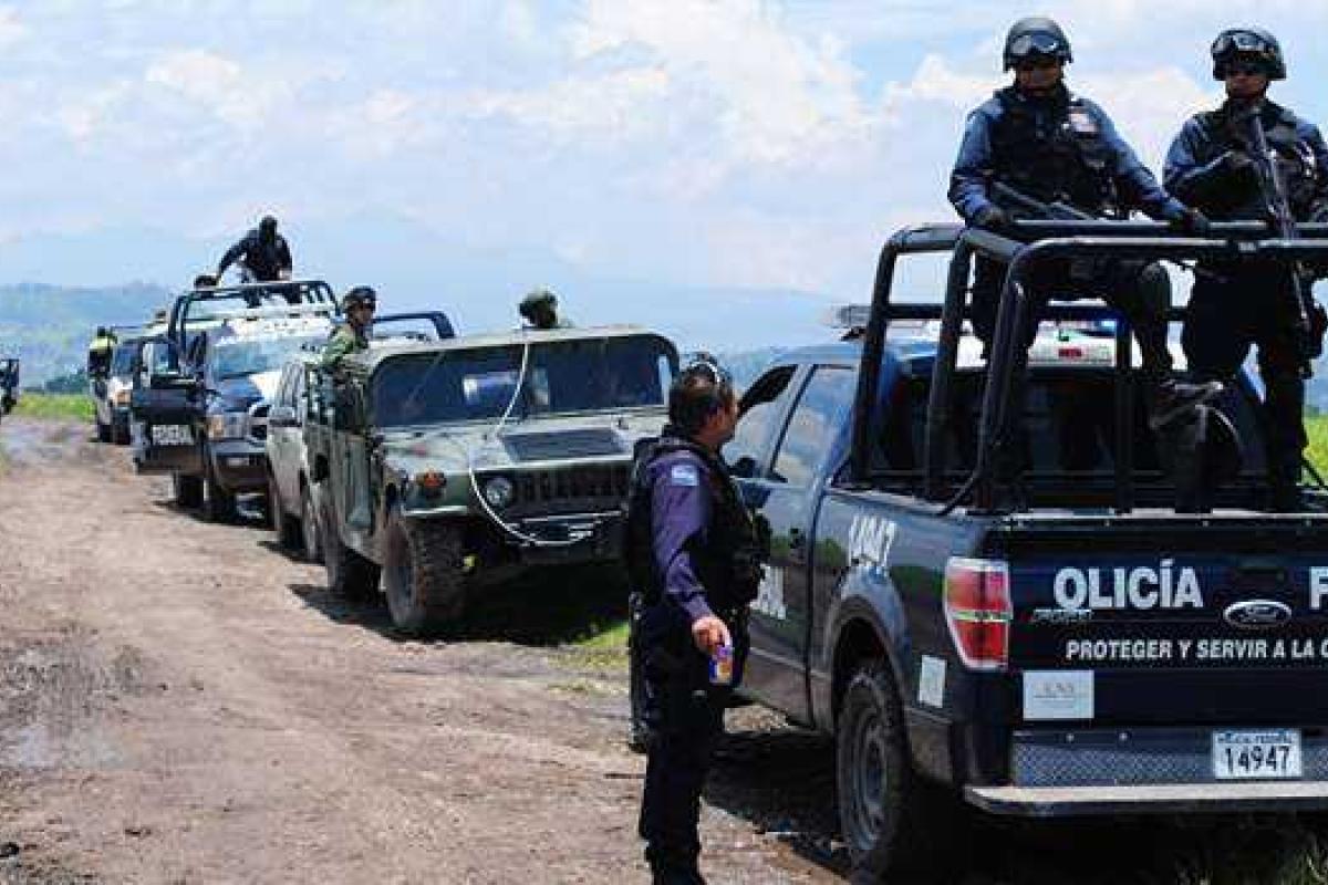 На ранчо мексиканского наркобарона обнаружено массовое захоронение На ранчо мексиканского наркобарона обнаружено массовое захоронение