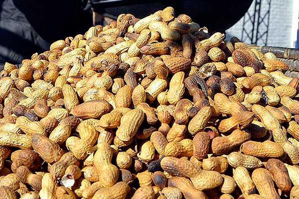 В США бизнесмен, выпускающий арахис, осужден на 28 лет за вспышку сальмонеллеза