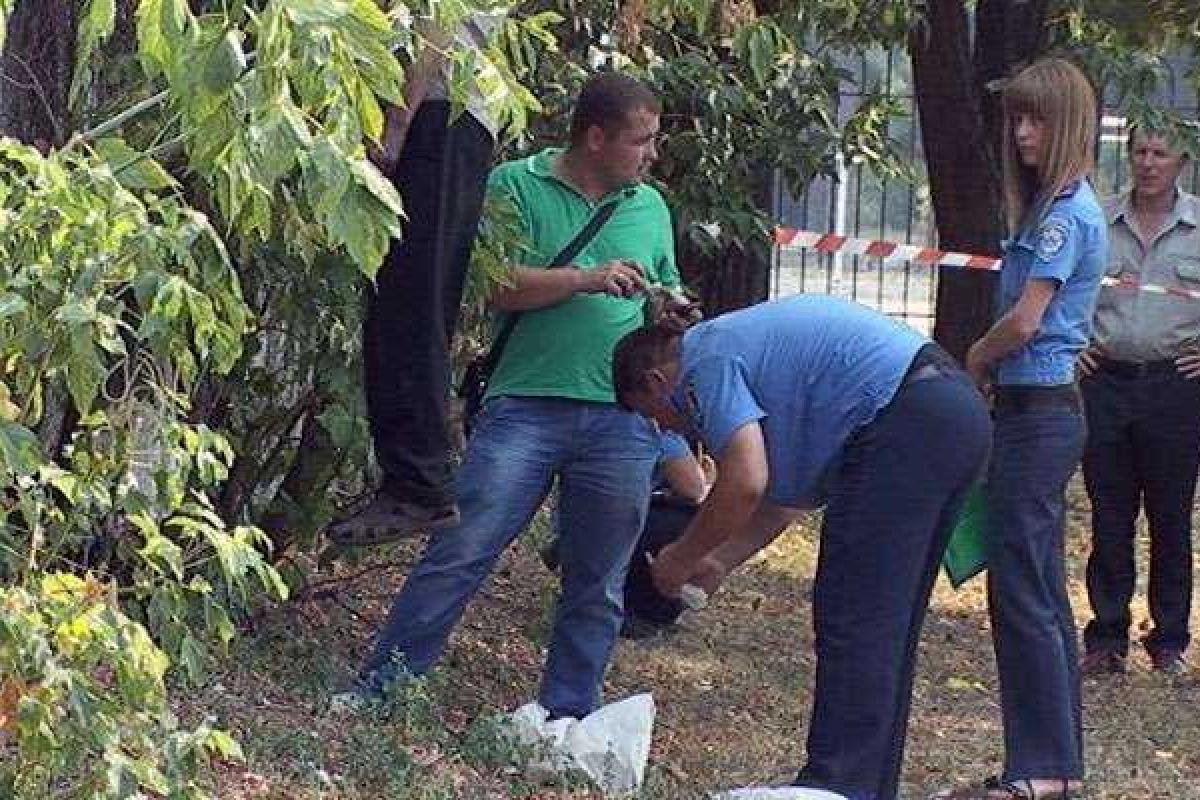 Жуткая находка: романтическая прогулка молодой пары закончилась у дерева с висельником Жуткая находка: романтическая прогулка молодой пары закончилась у дерева с висельником