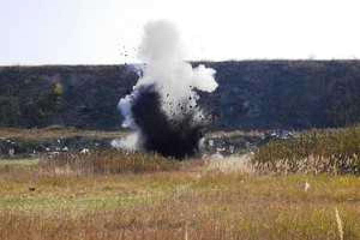 Саперы продолжают кропотливую работу по сбору смертоносного"урожая" на землях Луганщины Саперы продолжают кропотливую работу по сбору смертоносного"урожая" на землях Луганщины