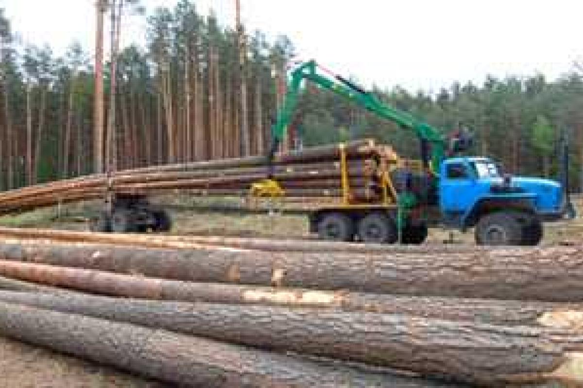 В Украине намечена ликвидация лесхозов В Украине намечена ликвидация лесхозов