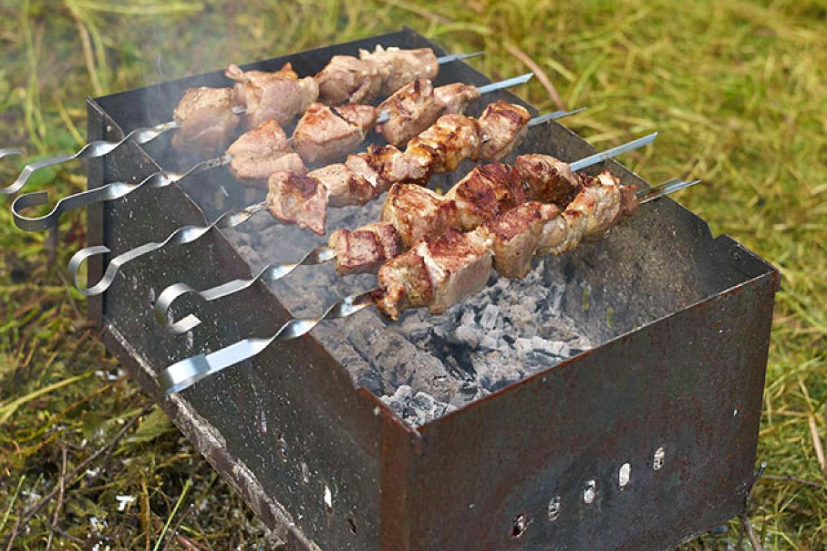 В России всех любителей шашлыков планируют обложить налогом В России всех любителей шашлыков планируют обложить налогом
