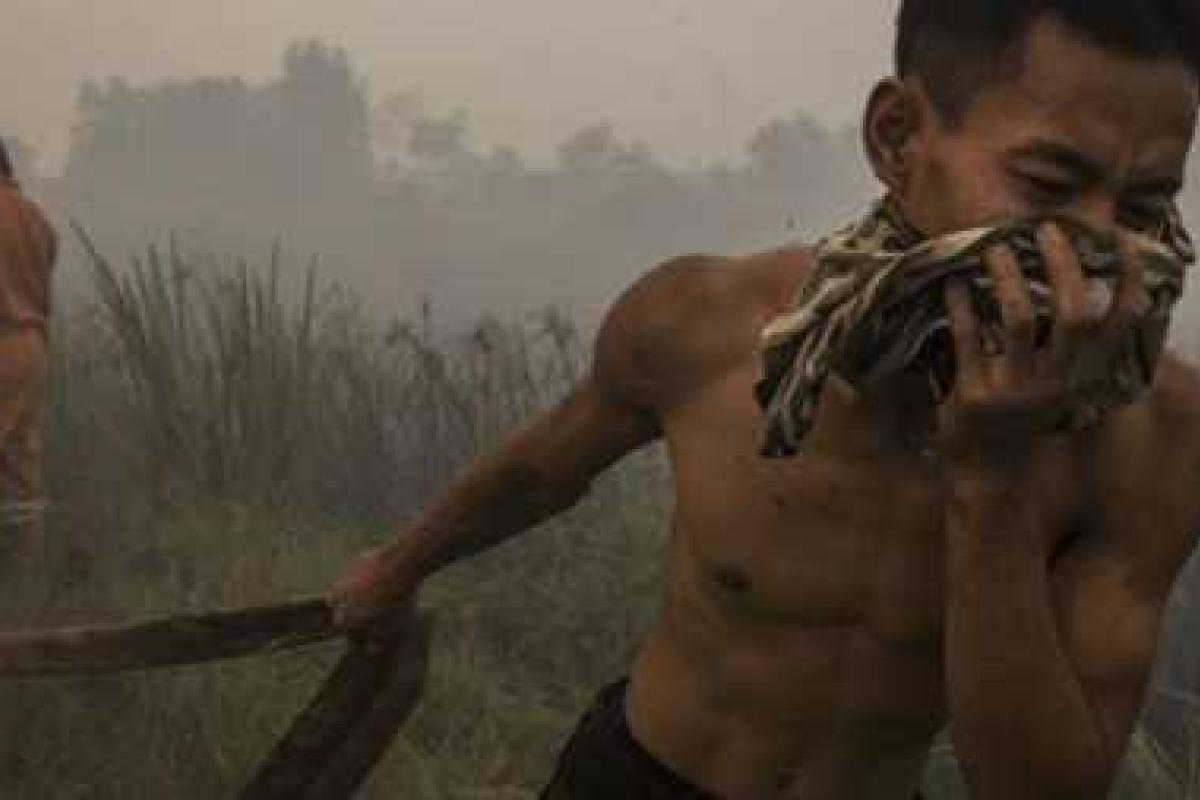 В Индонезии горят торфяники: власти Малайзии закрыли все школы из-за дыма и смога В Индонезии горят торфяники: власти Малайзии закрыли все школы из-за дыма и смога