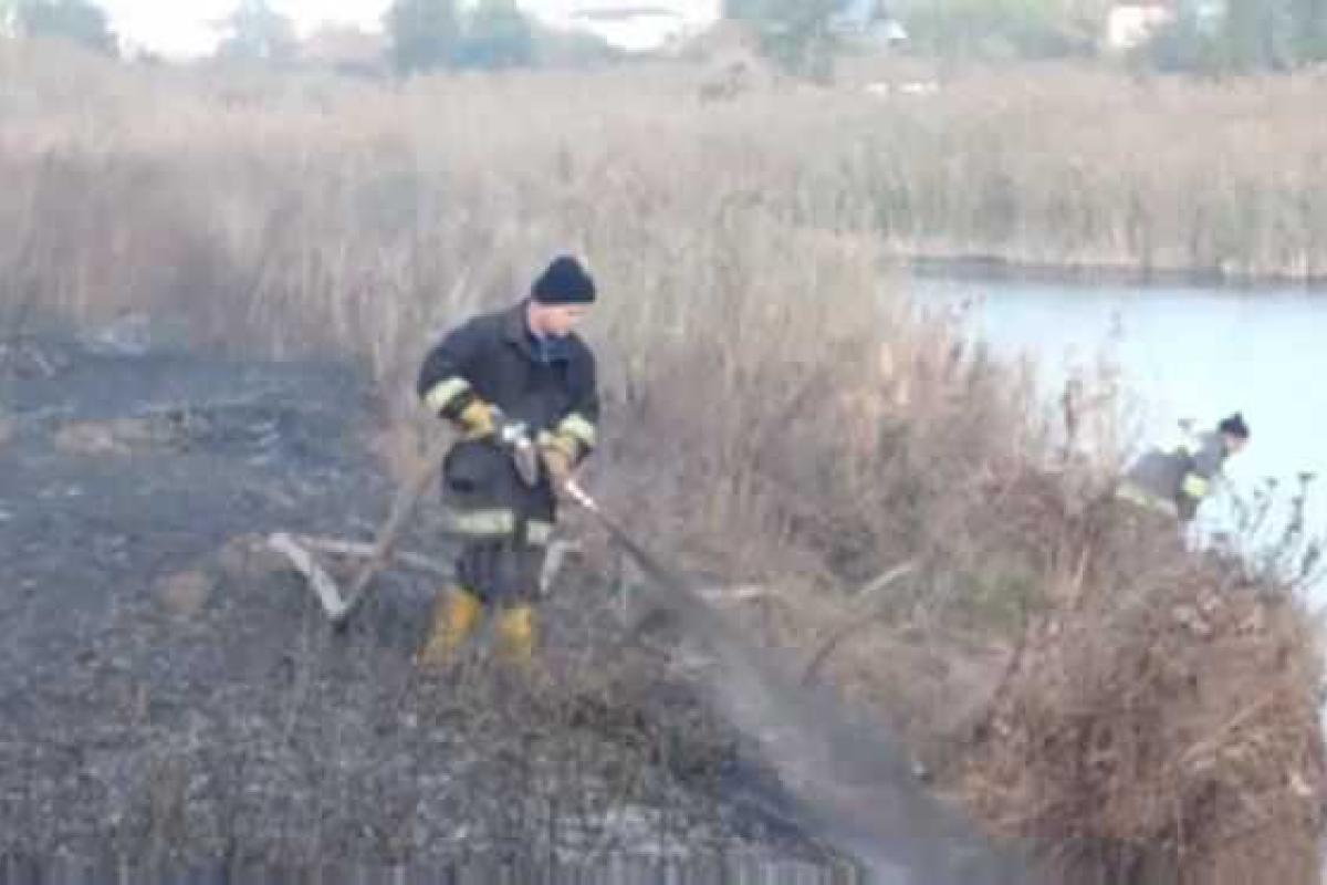 Под Киевом продолжается борьба спасателей с тлеющими торфяниками Под Киевом продолжается борьба спасателей с тлеющими торфяниками