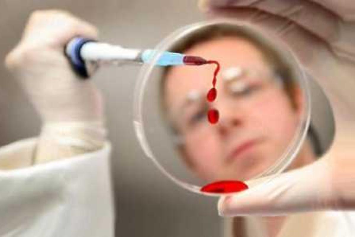 Лихорадка денге продолжает атаку на жителей Тайваня Лихорадка денге продолжает атаку на жителей Тайваня