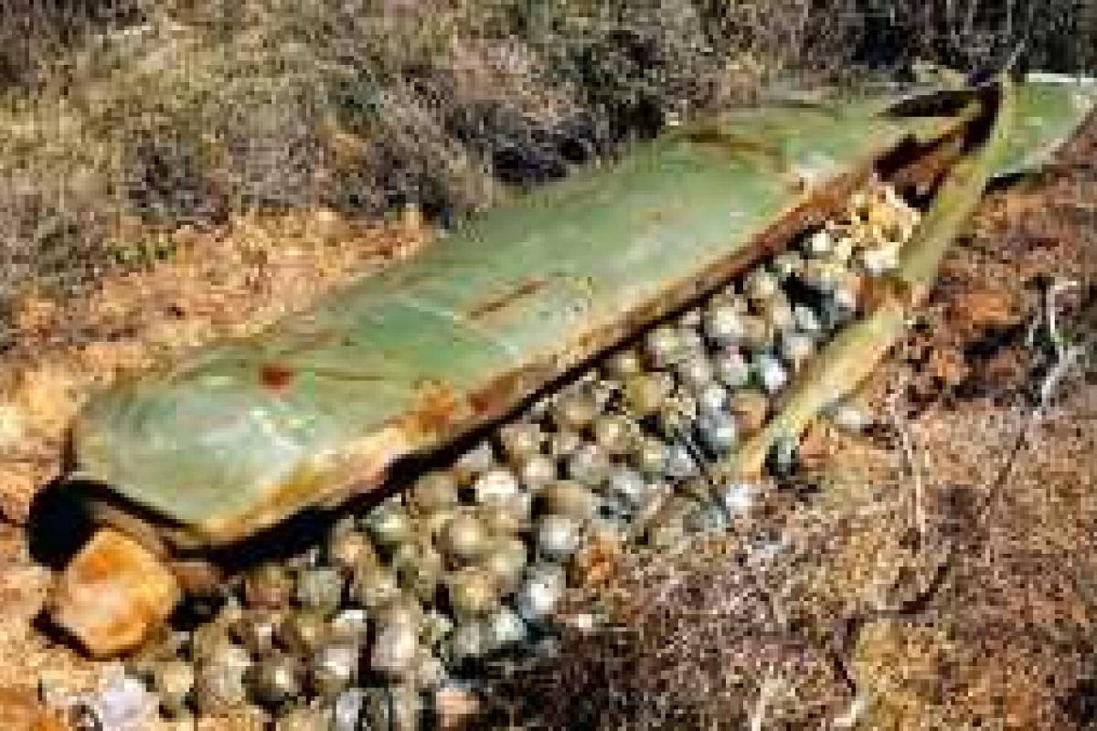 Россия поливает Сирию с воздуха кассетными бомбами, запрещенными международной конвенцией Россия поливает Сирию с воздуха кассетными бомбами, запрещенными международной конвенцией