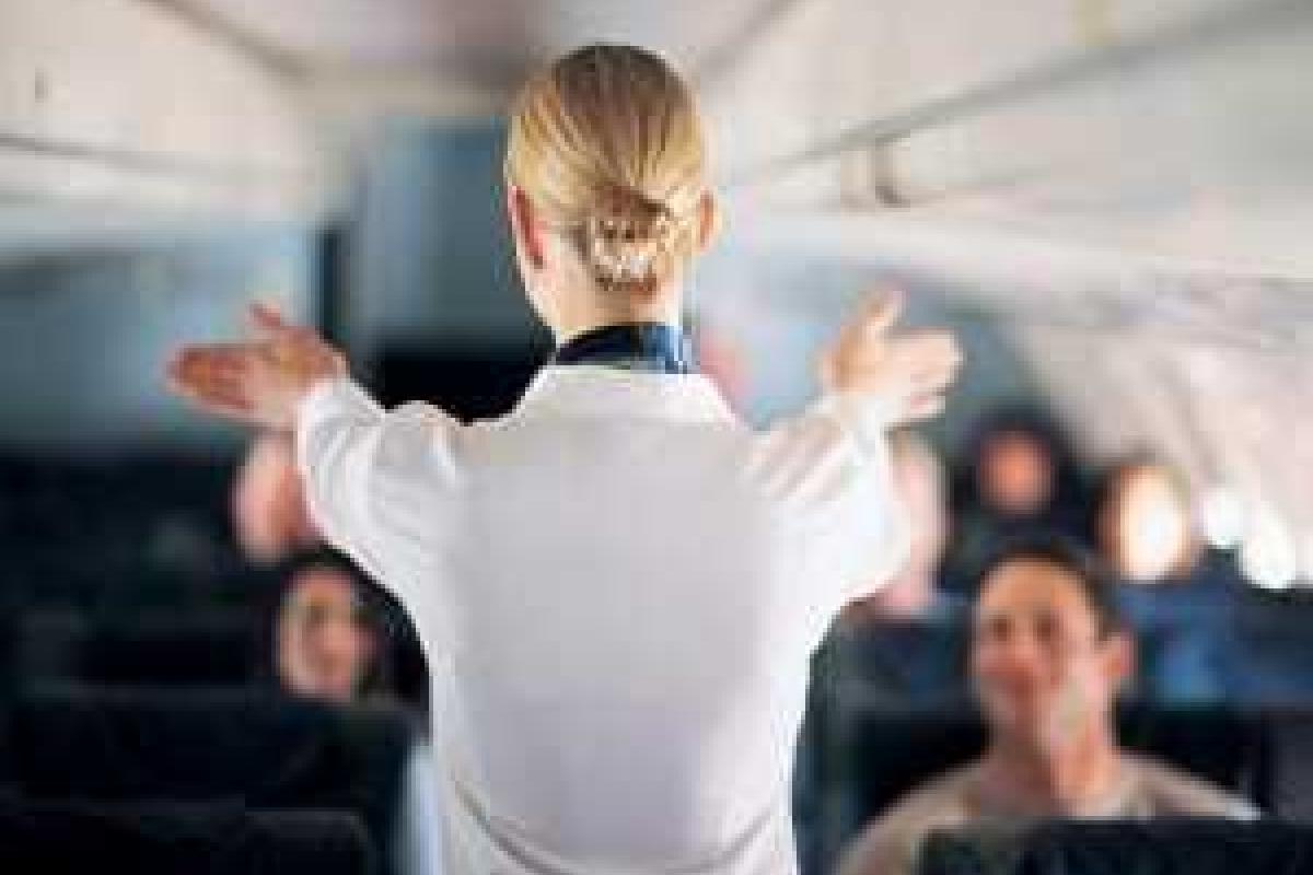 Предприимчивая стюардесса сколотила целое состояние, оказывая интимуслуги пассажирам в воздухе