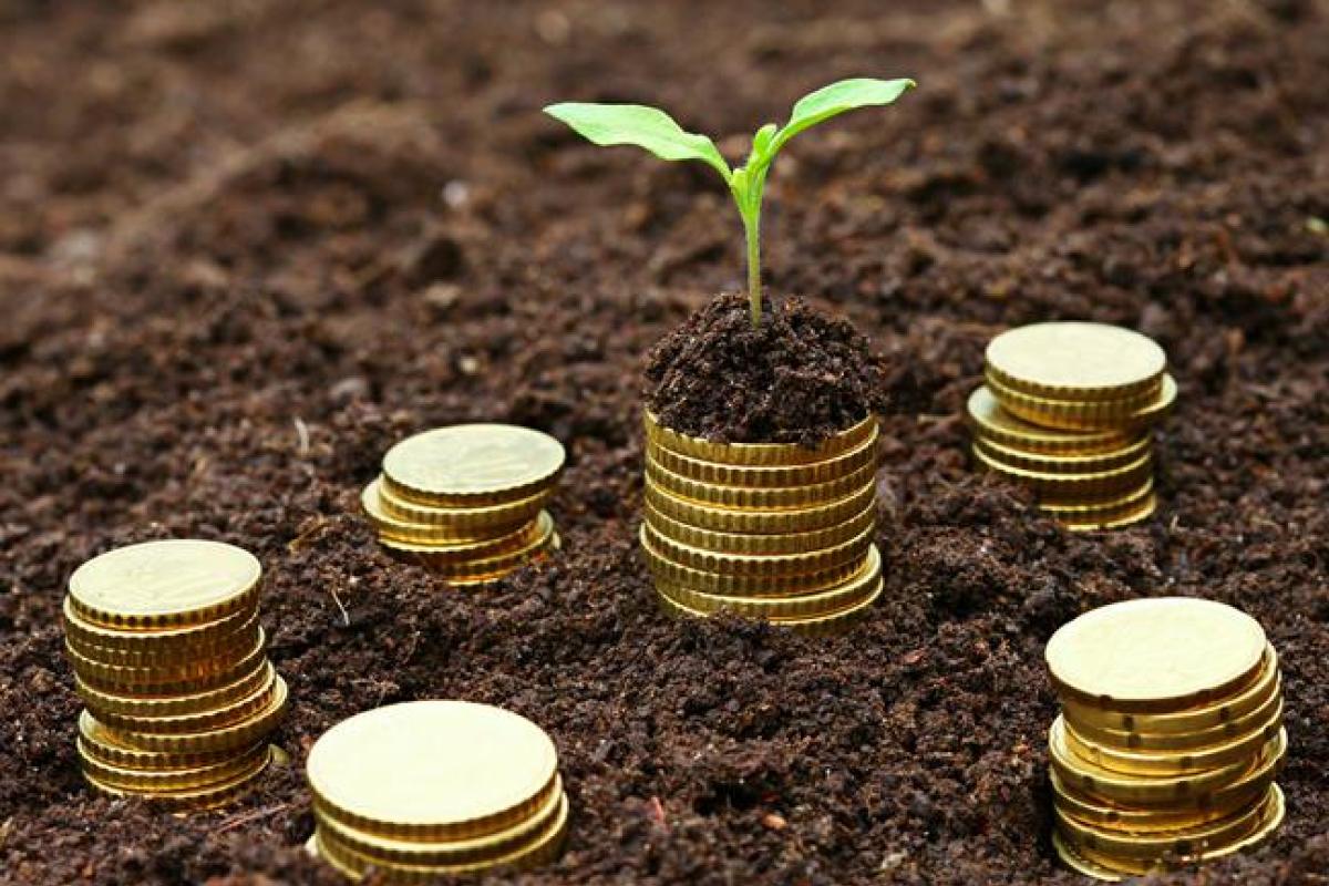 МВФ: Украину ждет экономический рост в 2016-2017 гг.  МВФ: Украину ждет экономический рост в 2016-2017 гг.