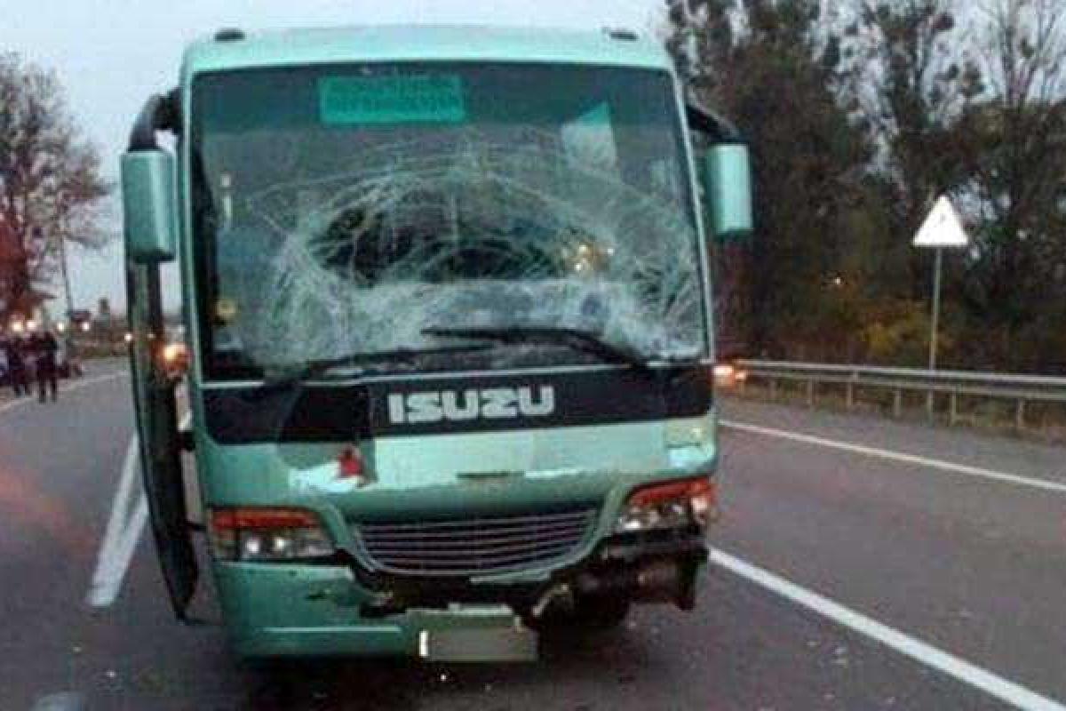 ЧП на Львовщине: автобус со школьниками попал в ДТП ЧП на Львовщине: автобус со школьниками попал в ДТП