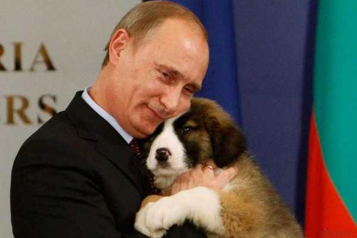 Щедрый Путин гуманно пригласил на несуществующую базу в Крыму украинских паралимпийцев