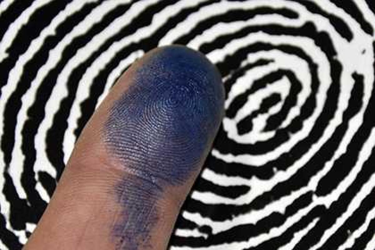 ​Американские ученые научились определять расу по отпечатку пальца