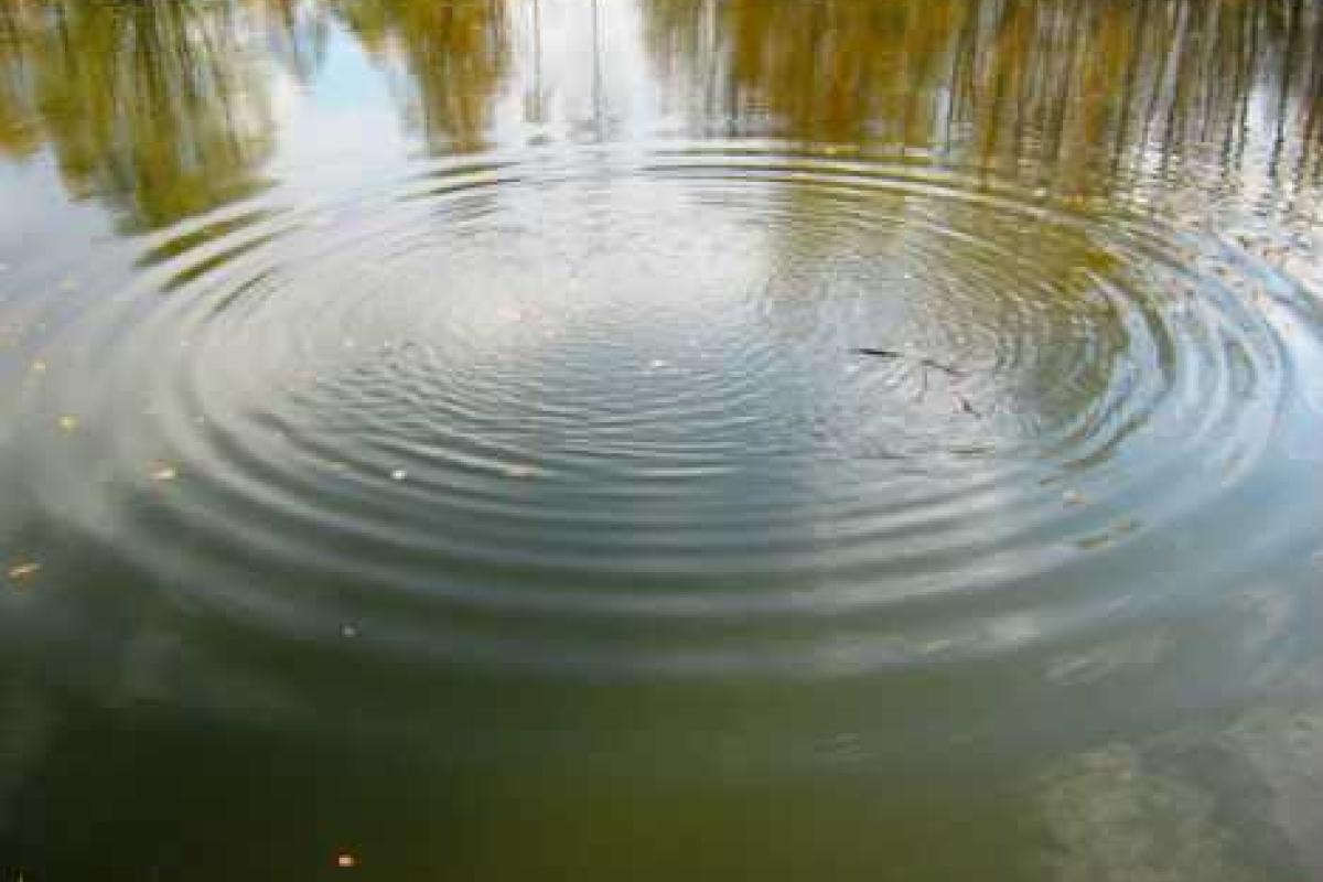 На Донетчине спасатели достали из озера тело 56-летнего мужчины На Донетчине спасатели достали из озера тело 56-летнего мужчины