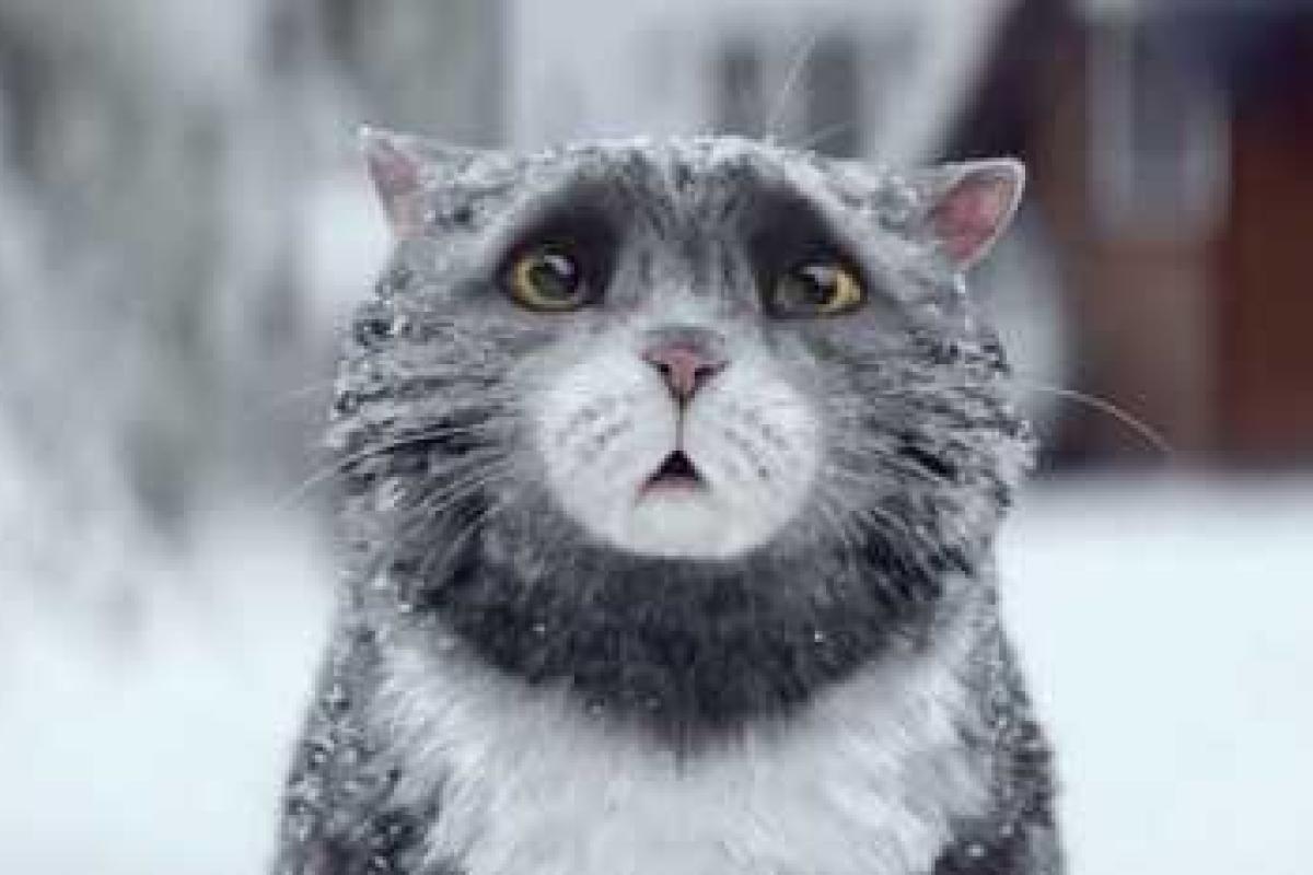 Ролик с рождественской рекламой британских супермаркетов Sainsbury's бьет рекорды просмотров на youtube 