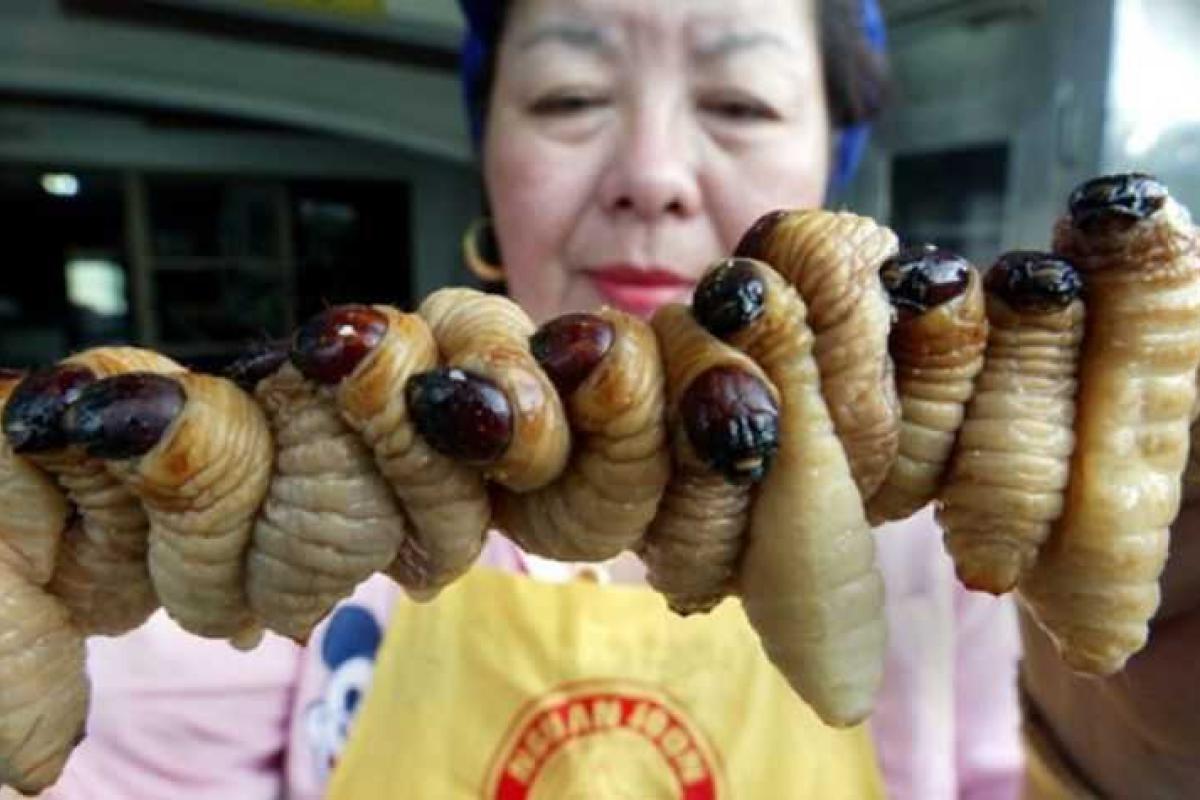 Еда разных стран, от которой иностранцы в шоке Еда разных стран, от которой иностранцы в шоке