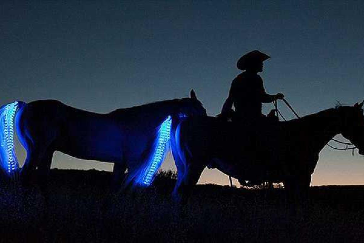 Для безопасной ночной езды на лошадях придумали светодиодное украшение для хвоста