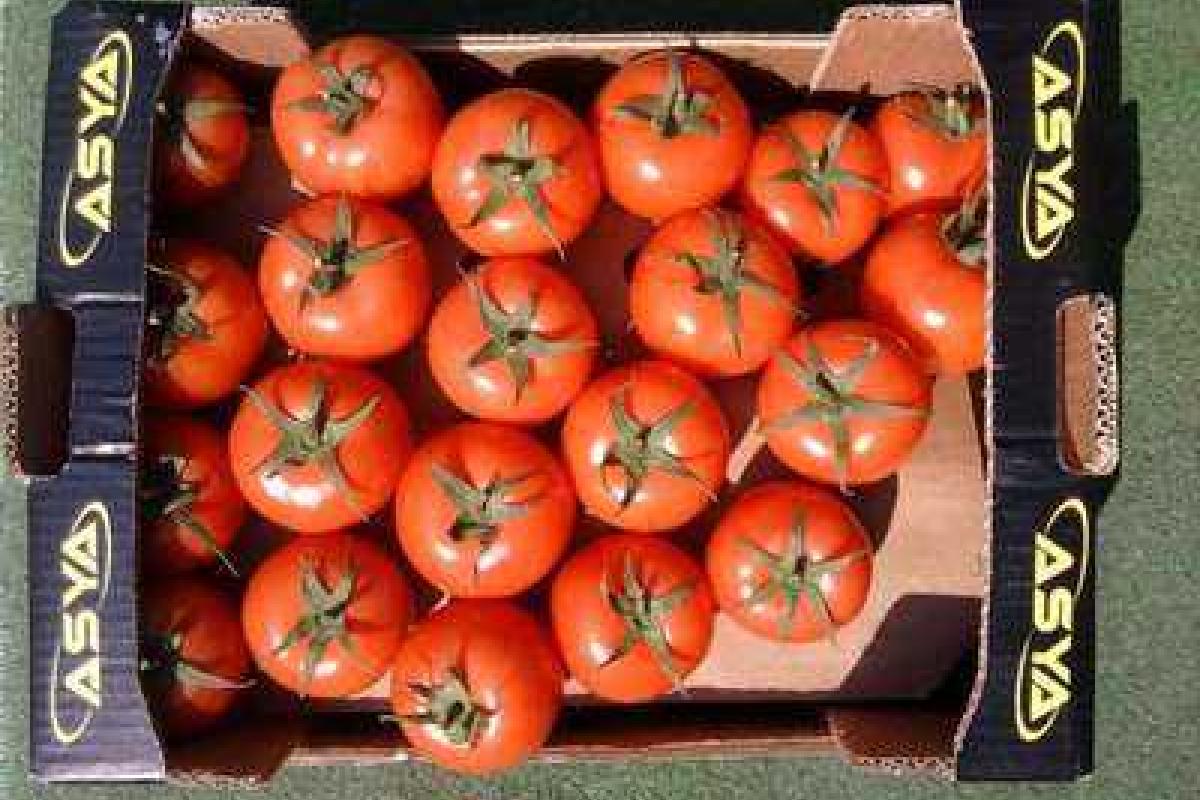 В России "объявили войну" помидорам из Турции