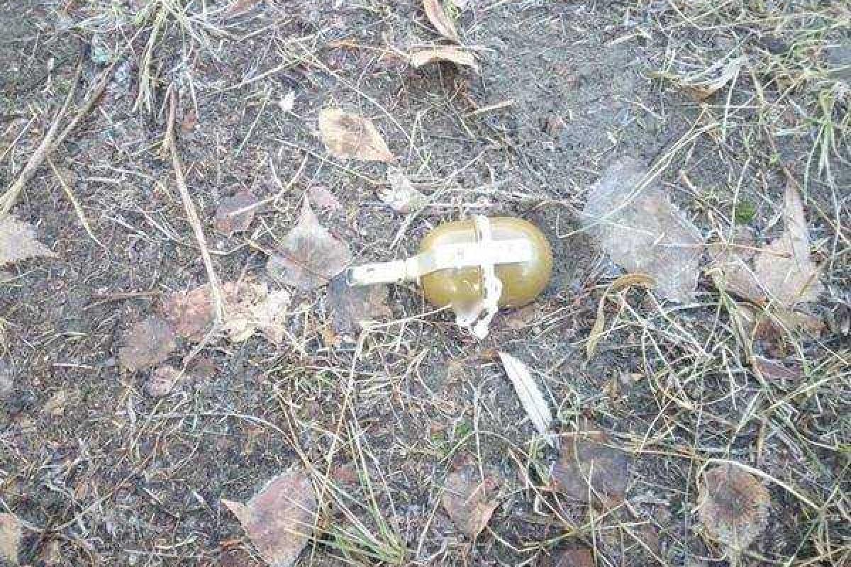 Возле Киевского районного суда Харькова обнаружена боевая граната