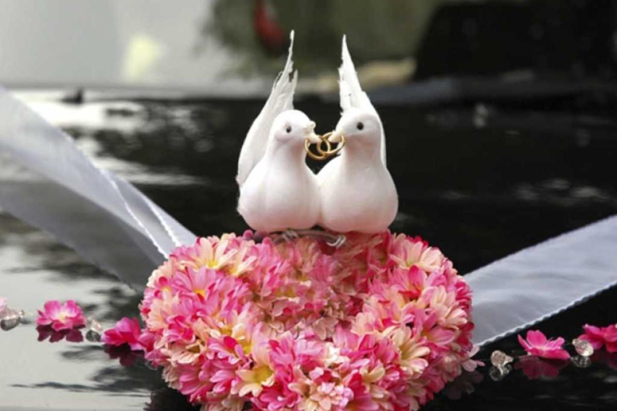 Энергоблокада Крыма "поставила крест" на громких свадьбах: молодоженам теперь надо получать отдельное разрешение Энергоблокада Крыма "поставила крест" на громких свадьбах: молодоженам теперь надо получать отдельное разрешение