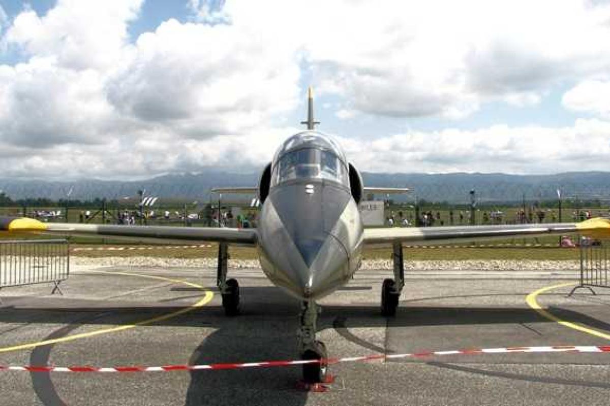 В Калифорнии загорелся учебно-боевой самолет L-39, пилоты погибли В Калифорнии загорелся учебно-боевой самолет L-39, пилоты погибли