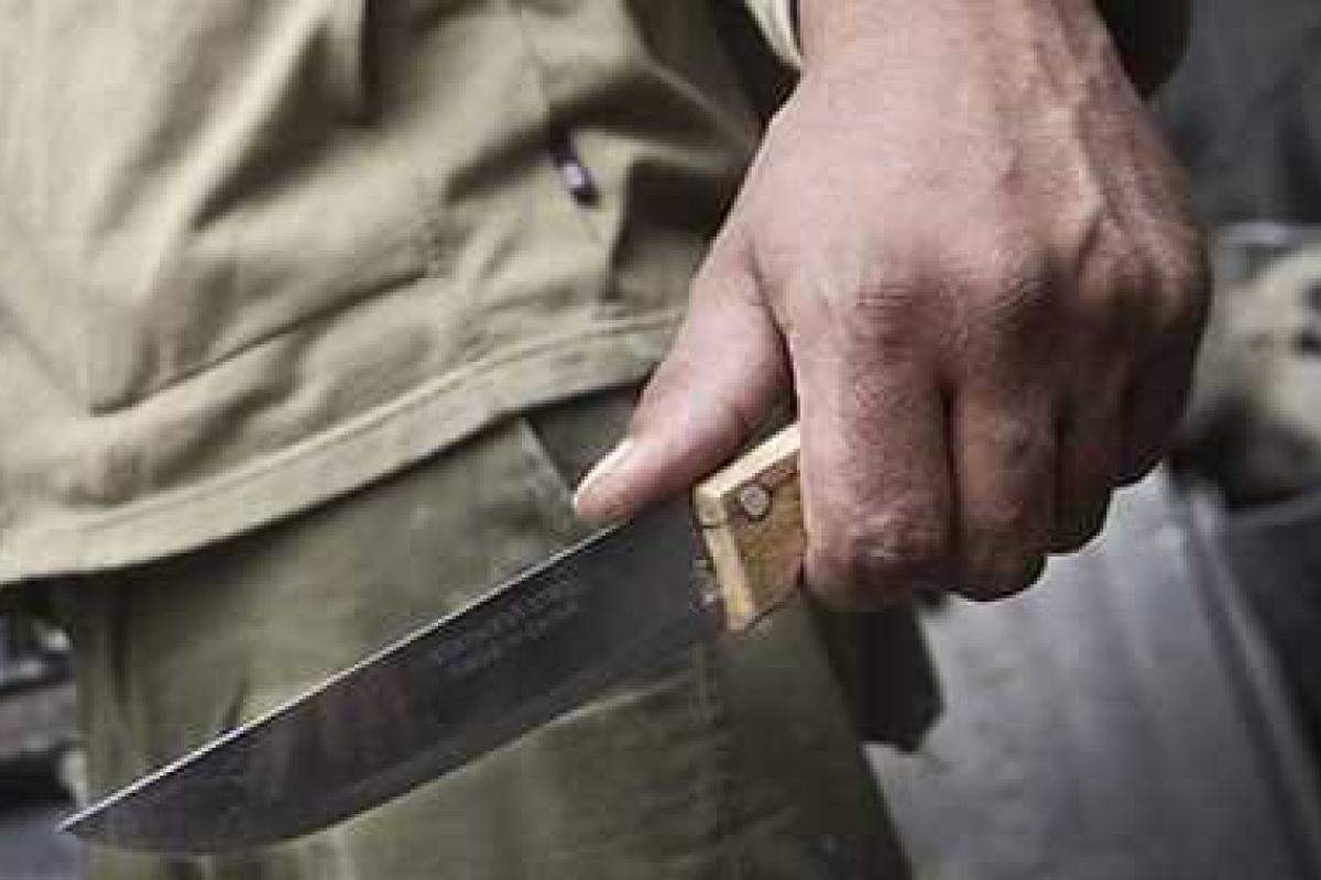 В России несовершеннолетняя девушка, поссорившись с отцом, решила ему отомстить, вырезав всю семью