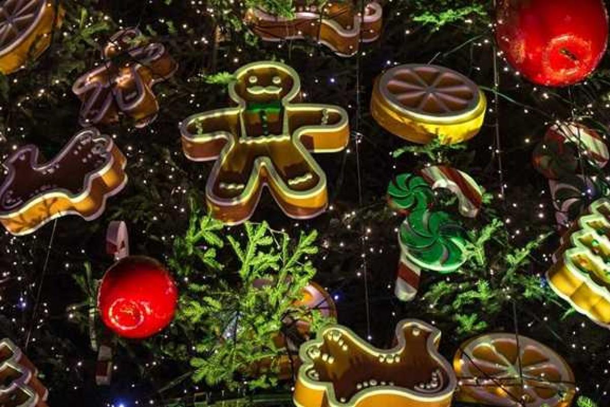 В Сети появилось видео с главной елкой Украины, снятое с высоты птичьего полета В Сети появилось видео с главной елкой Украины, снятое с высоты птичьего полета