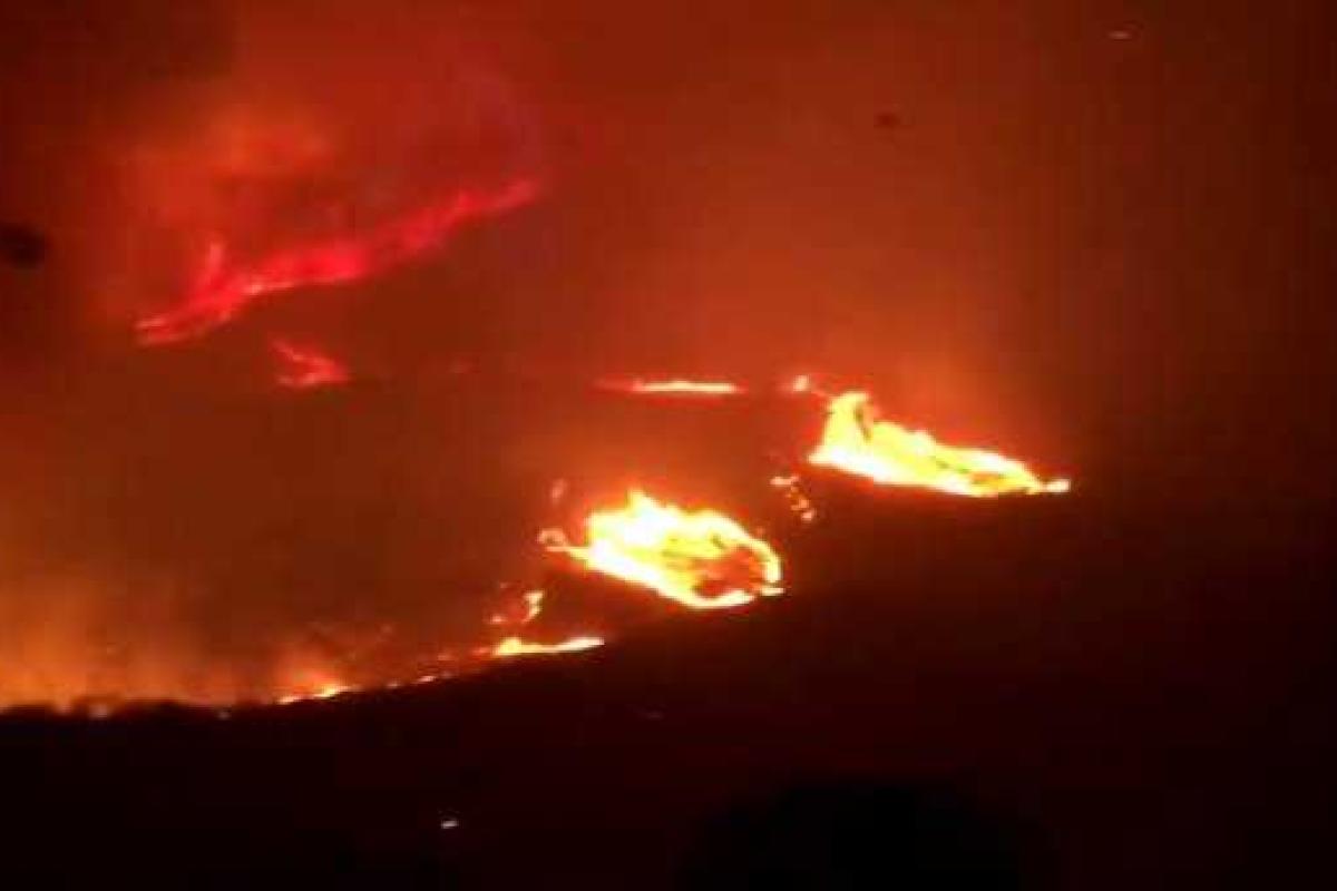 В Сеть попало впечатляющее видео: лесные пожары в Австралии из окна проезжающего авто