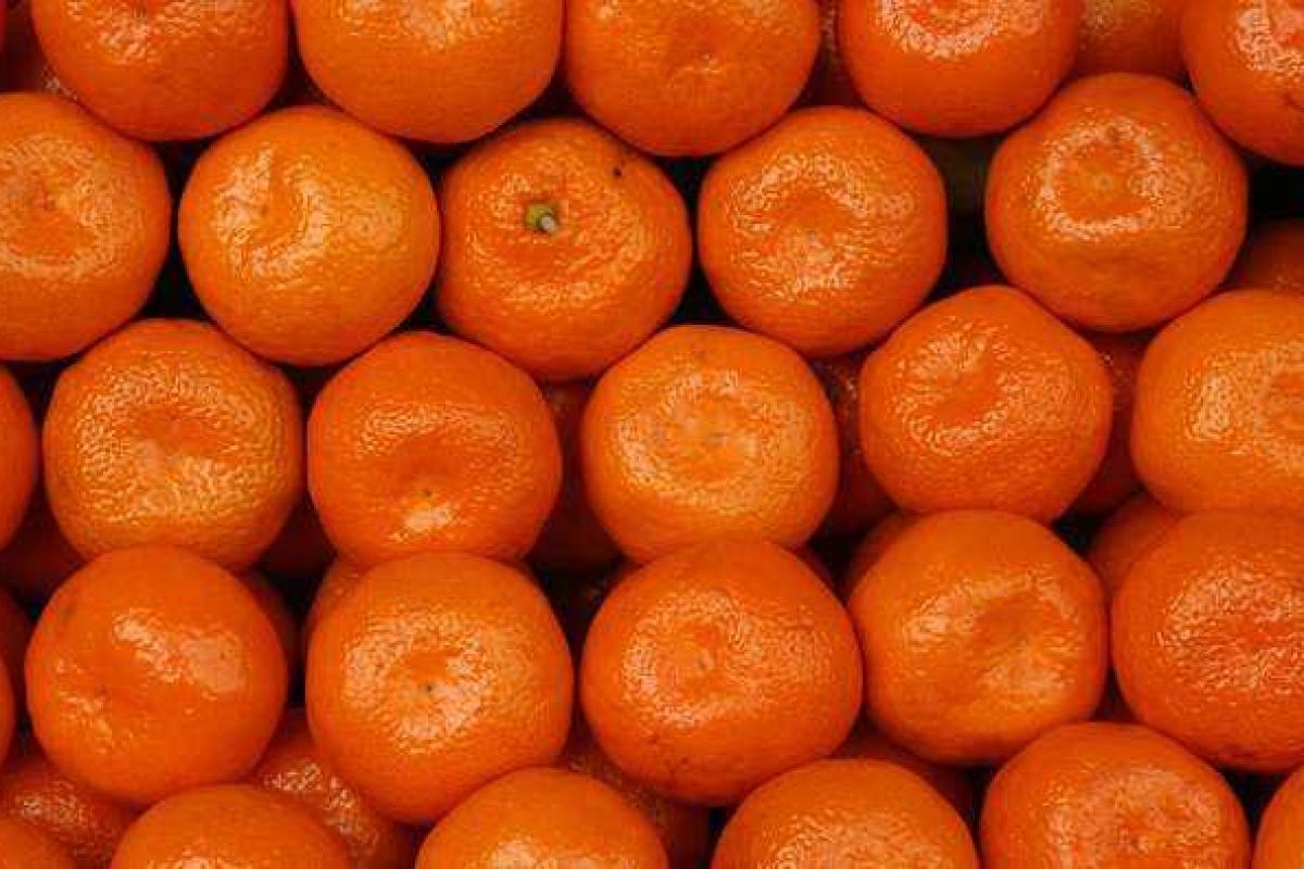 Из-за антитурецких санкций России в Украине снизится цена на цитрусовые и тепличные овощи