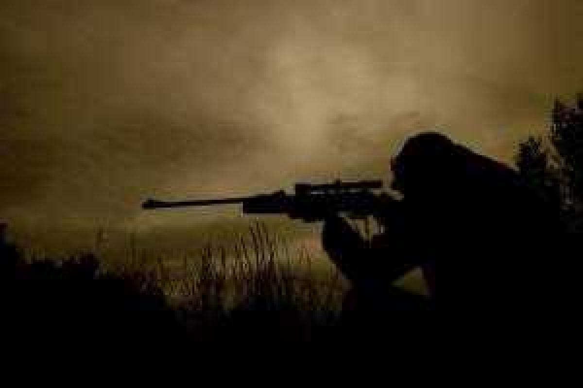 Ситуация в зоне АТО осложняется: за прошедшие сутки боевики открывали огонь на всех направлениях Ситуация в зоне АТО осложняется: за прошедшие сутки боевики открывали огонь на всех направлениях