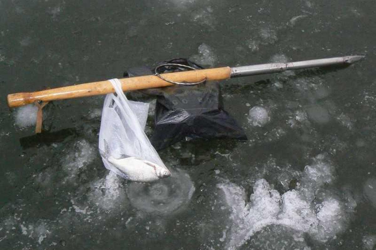 На Винничине спасатели-водолазы ищут рыбака, провалившегося под лед На Винничине спасатели-водолазы ищут рыбака, провалившегося под лед