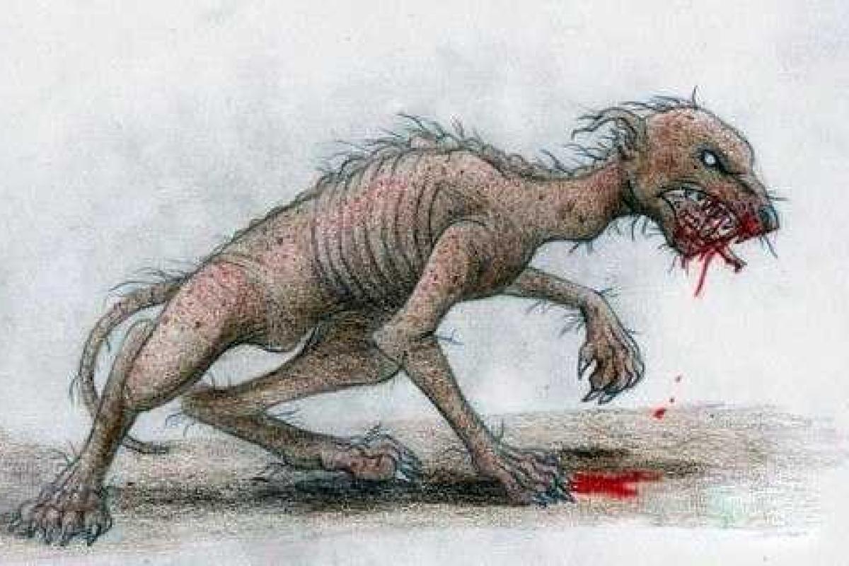 Жителей Казани напугало появление в городе странного существа