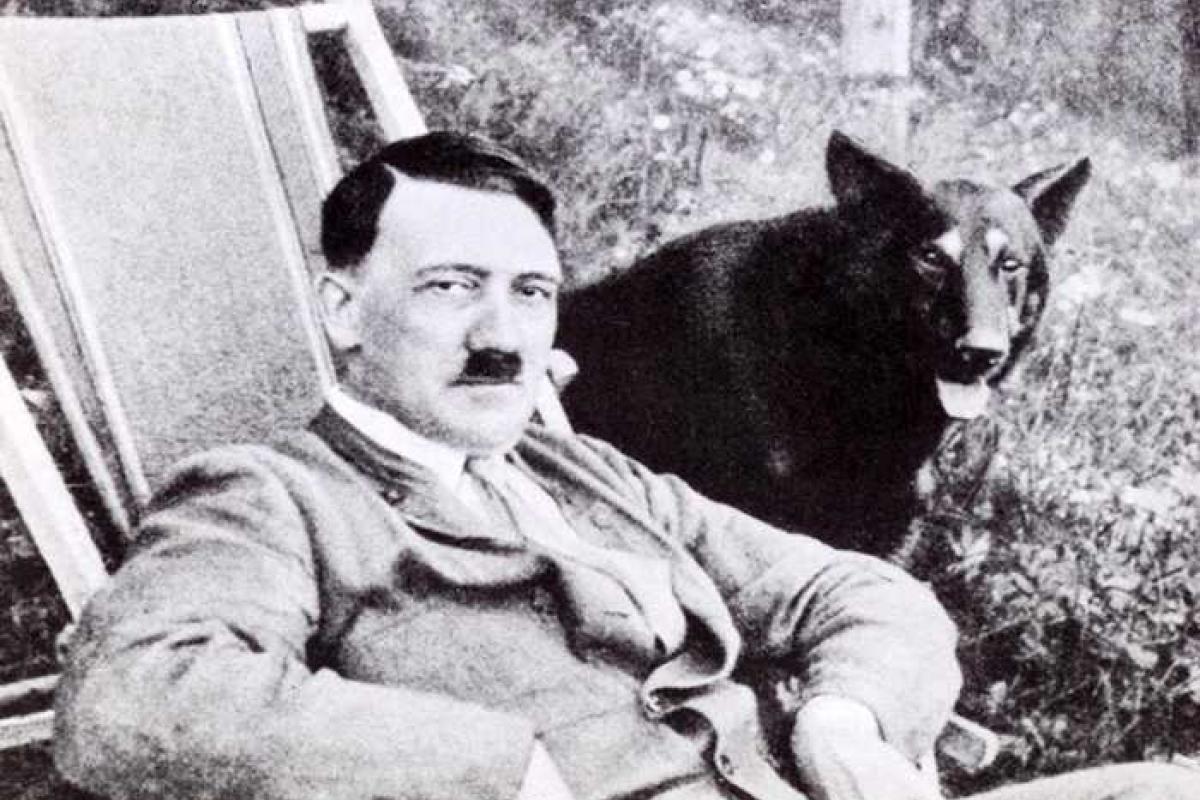 Сенсация: ФБР обнародовало подробности секретного расследования - Гитлер не застрелился, а прожил до глубокой старости