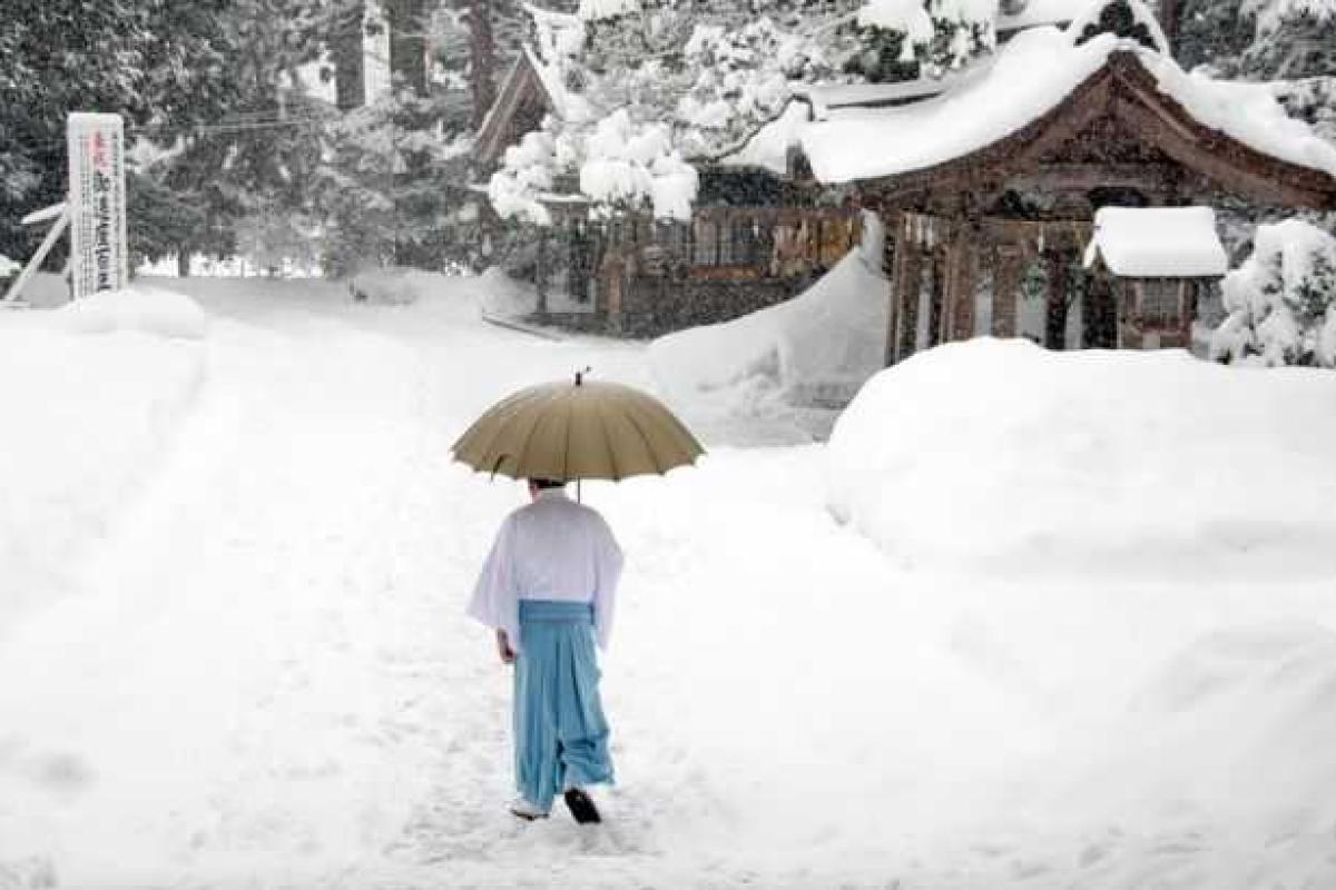 В Японии на острове Амами-Осима впервые за 115 лет выпал снег