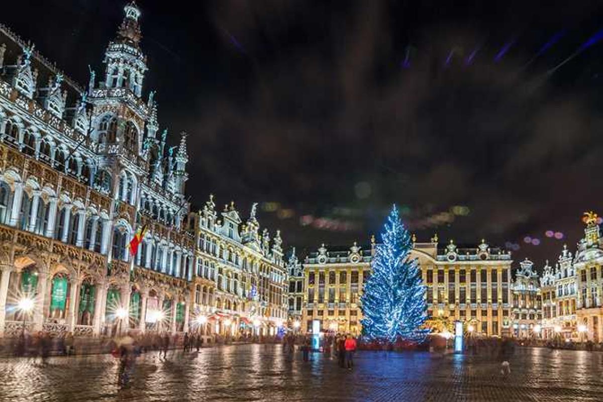 Мигранты-вандалы сожгли елку в центре Брюсселя и скинули в метро автомобиль Мигранты-вандалы сожгли елку в центре Брюсселя и скинули в метро автомобиль
