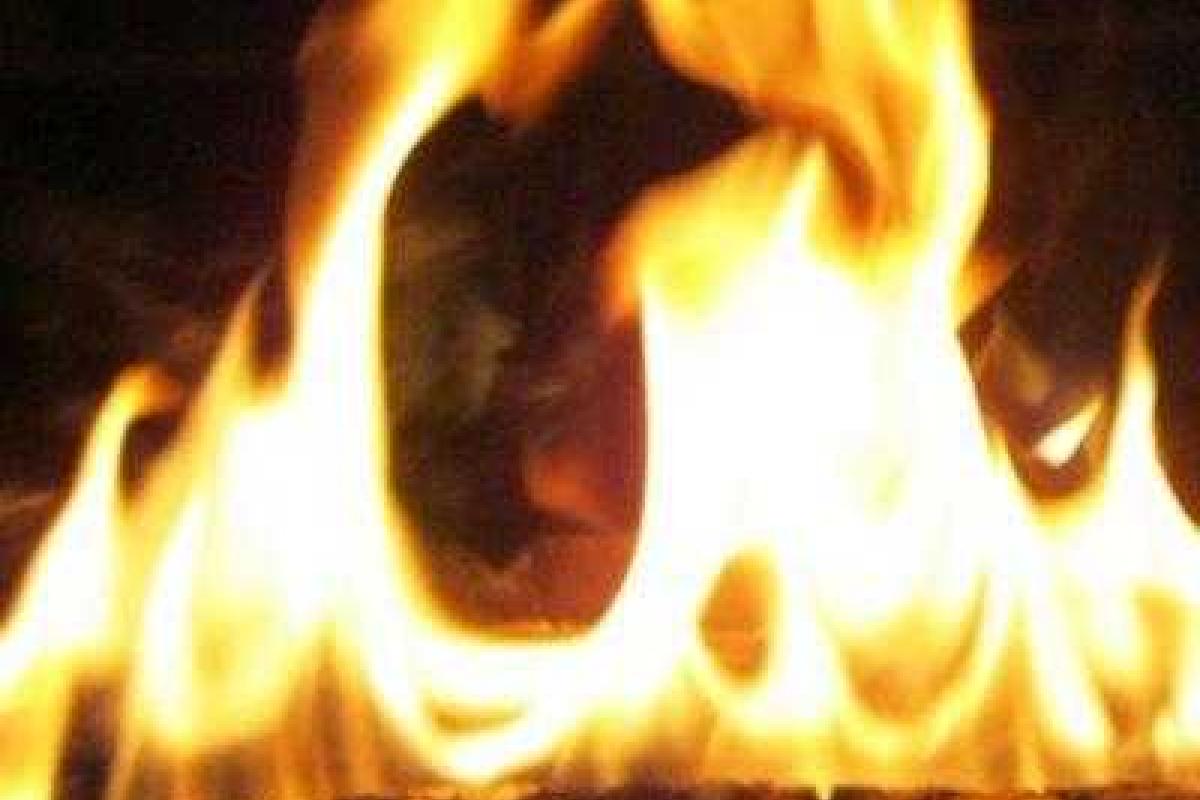 На Донетчине при пожаре в частном доме заживо сгорели три мужчины На Донетчине при пожаре в частном доме заживо сгорели три мужчины