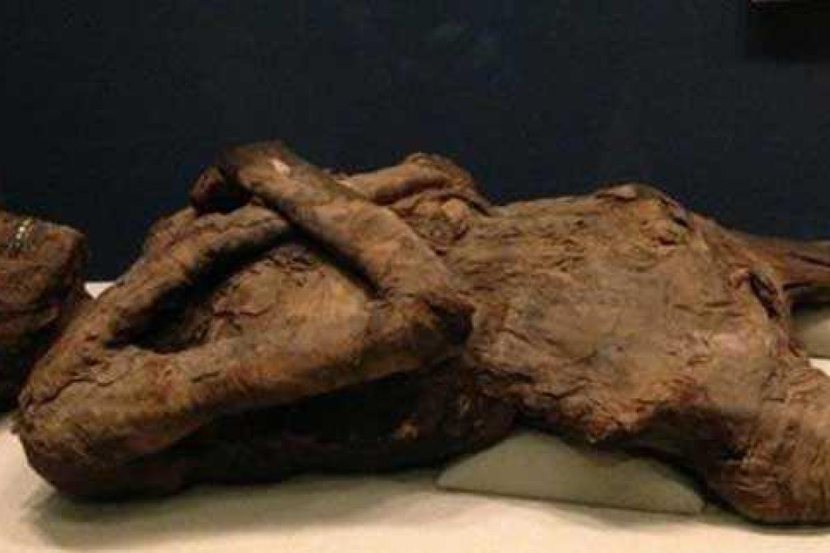 В Вашингтоне охранник музея надругался над 2500-летней египетской мумией В Вашингтоне охранник музея надругался над 2500-летней египетской мумией