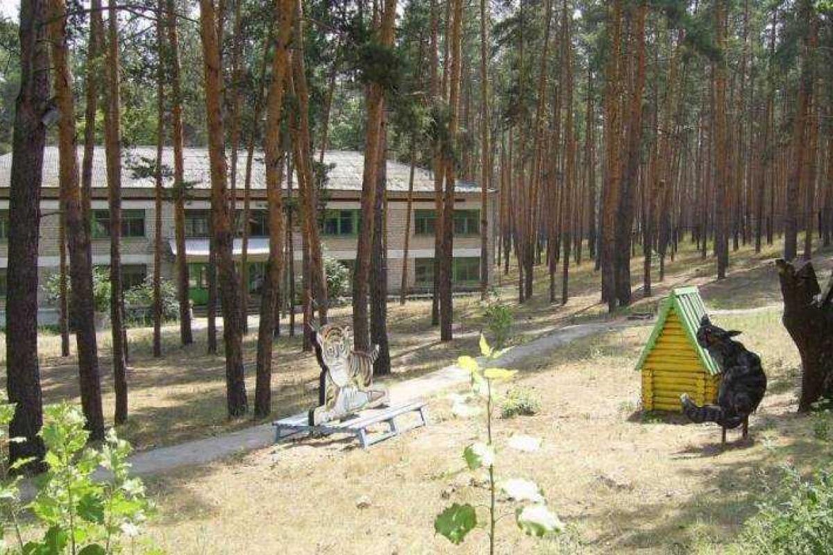 На Луганщине с этого летнего оздоровительного сезона возобновит свою работу детский лагерь "Мрия" На Луганщине с этого летнего оздоровительного сезона возобновит свою работу детский лагерь "Мрия"