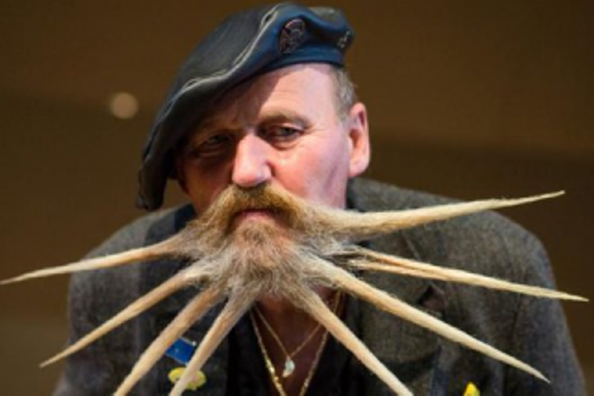 В Германии провели конкурс на самую необычную бороду В Германии провели конкурс на самую необычную бороду