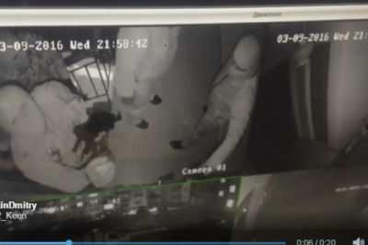 В Ингушетии неизвестные в масках разгромили штаб-квартиру российских правозащитников