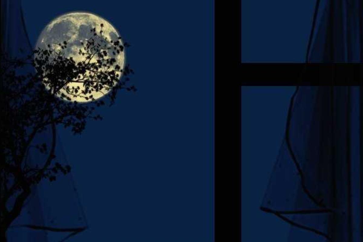 В Крыму вновь начались длительные отключения электроэнергии