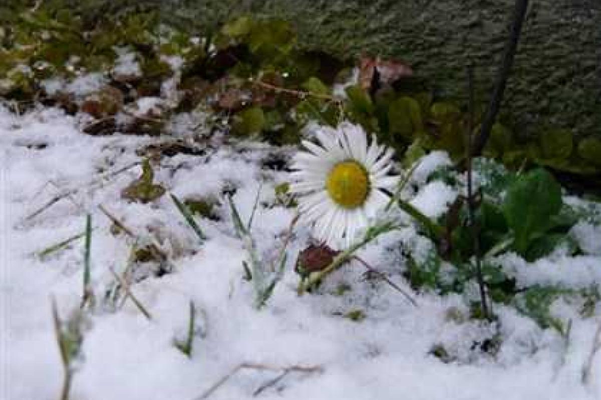 Эксперты NASA: минувший февраль стал самым теплым в истории метеонаблюдений Эксперты NASA: минувший февраль стал самым теплым в истории метеонаблюдений