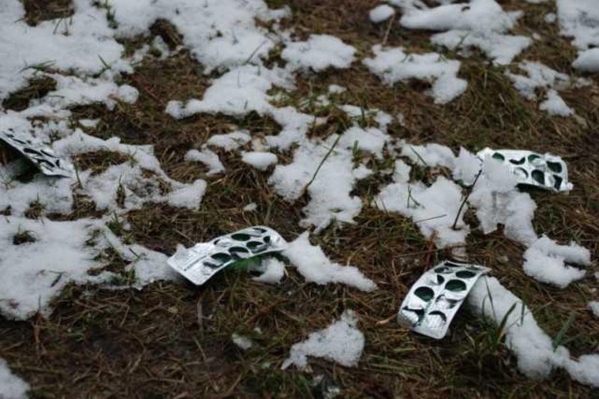 В Киеве на территории элитного лицея нашли "наркотик для бедных" В Киеве на территории элитного лицея нашли "наркотик для бедных"