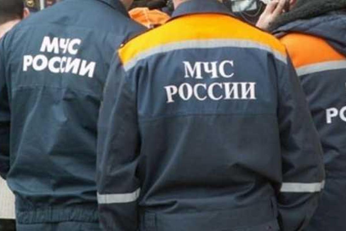 В российском городе Биробиджан из-за сумки с котятами перекрыли движение транспорта и провели эвакуацию целого дома