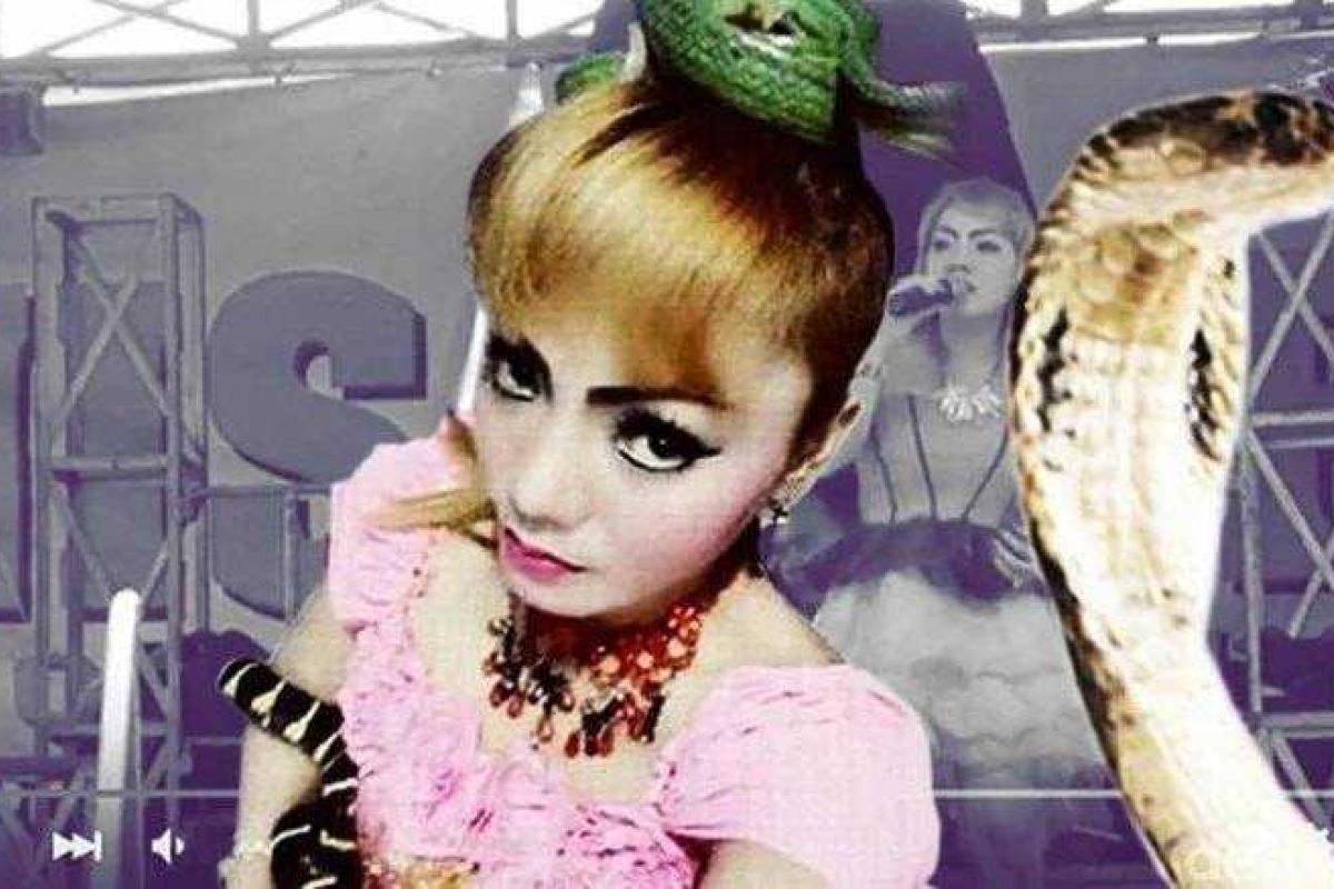 Певица-экстремалка Ирма Бьюл умерла во время выступления от укуса кобры