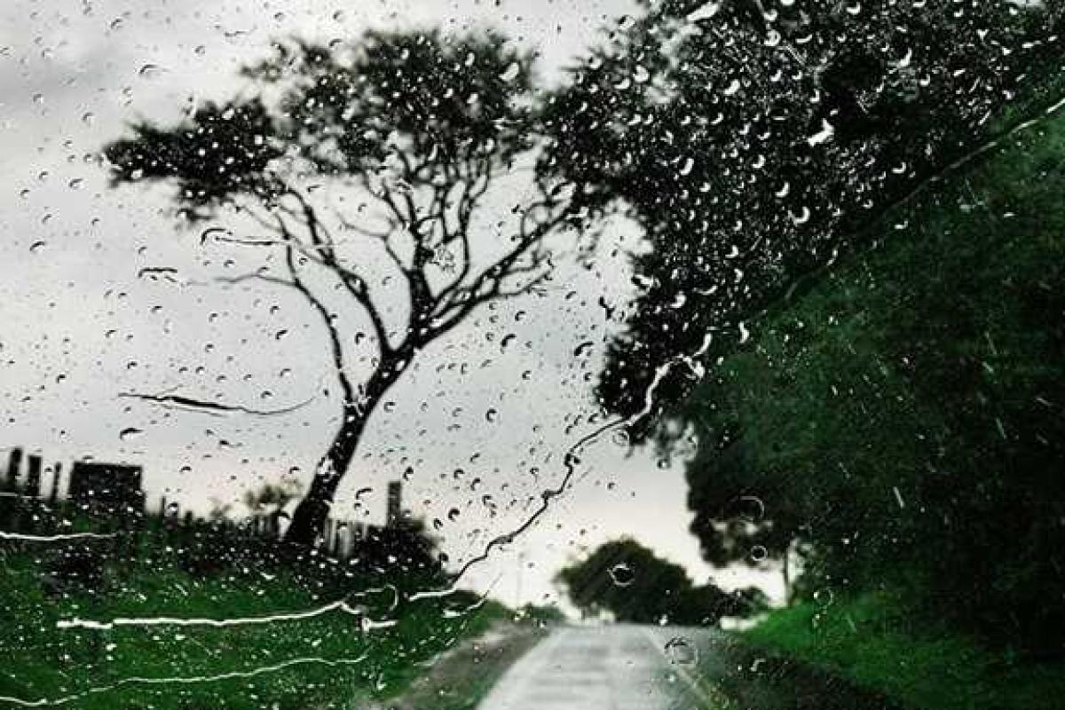 На Донетчине из-за непогоды без электроснабжения остались более 30 населенных пунктов