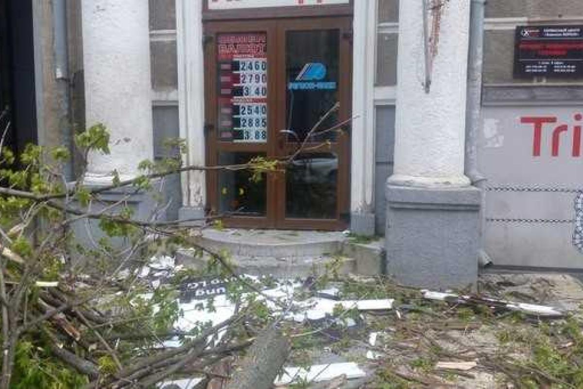В центре Харькова упавшее дерево травмировало девушку В центре Харькова упавшее дерево травмировало девушку