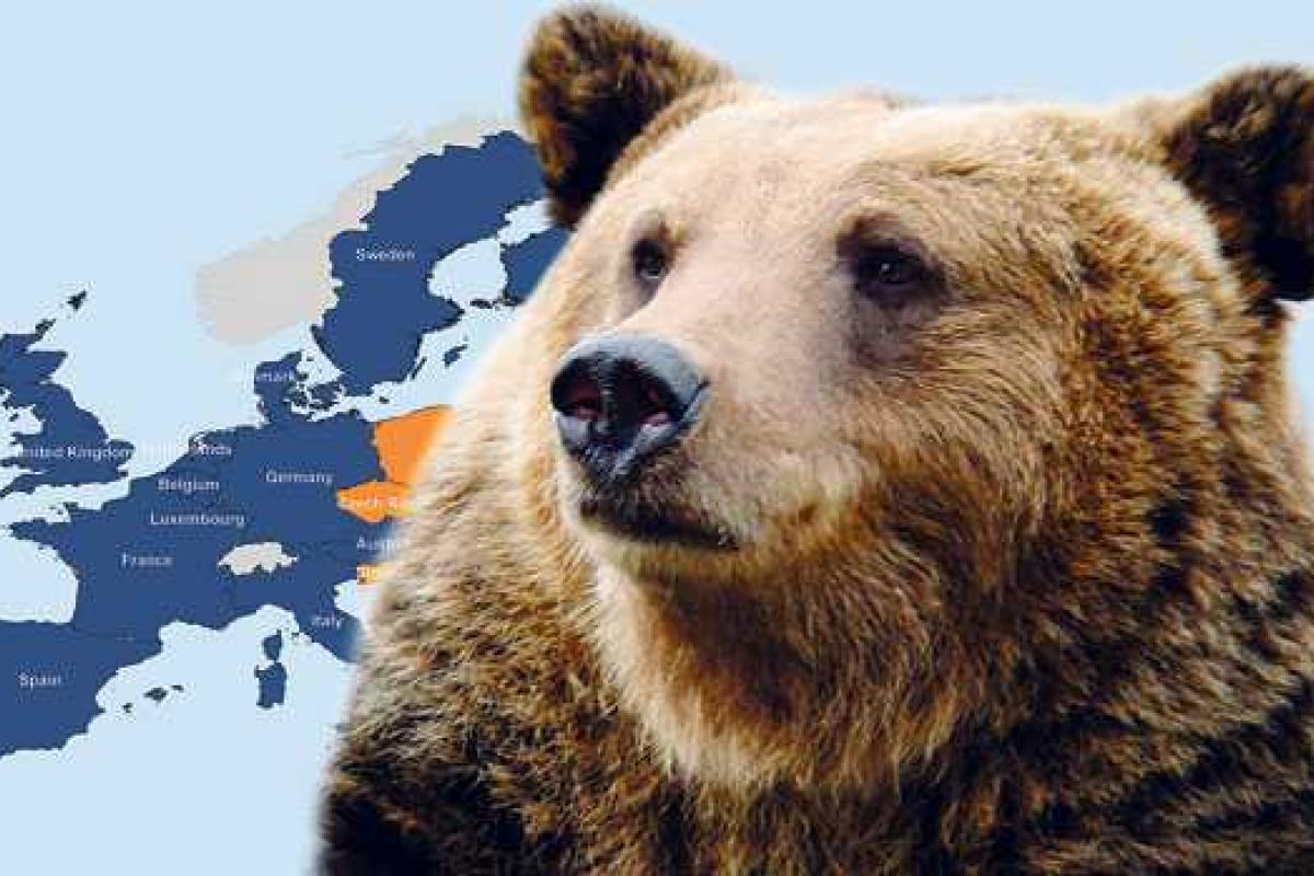 Россияне не видят врага в лице Европы и предлагают равняться на нее - опрос