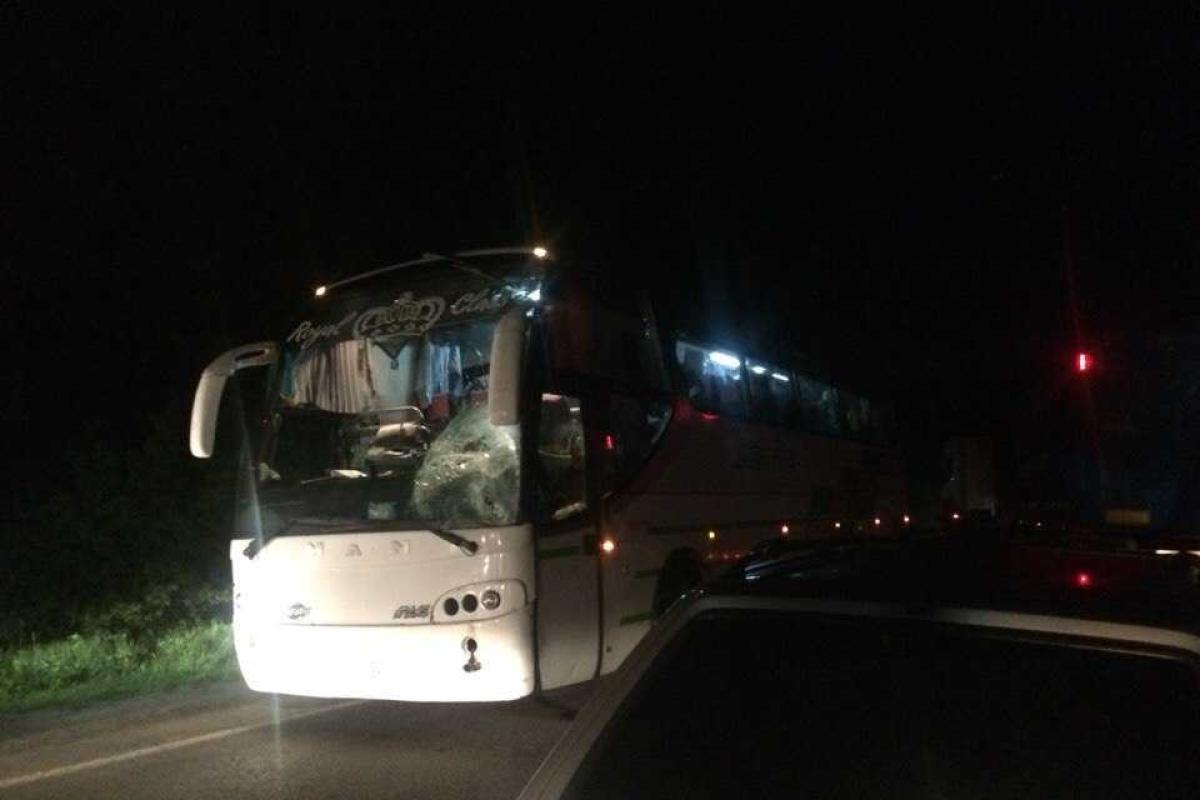 На Львовщине автобус насмерть сбил мужчину в камуфляжной форме На Львовщине автобус насмерть сбил мужчину в камуфляжной форме